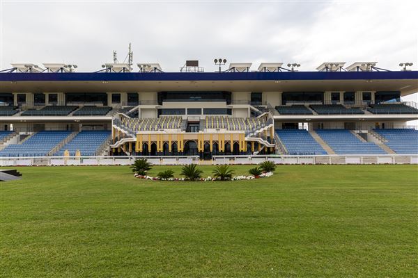Abu Dhabi Equestrian Club (12/19/2019)