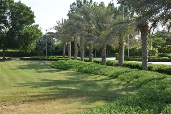 Yas Gateway Park (10/1/2022)