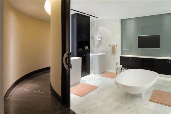 Andaz Capital Gate Abu Dhabi (6/24/2020)