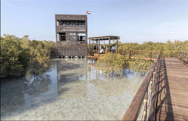 Jubail Mangrove Park (6/16/2021)