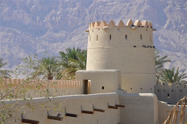 Mezyad Fort (1/27/2022)