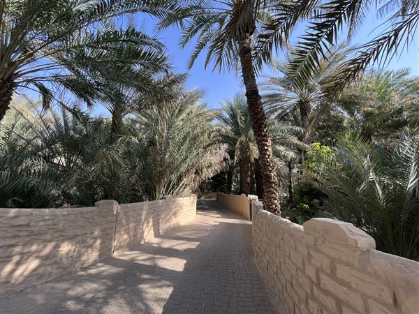 Al Qattara Oasis (9/22/2022)