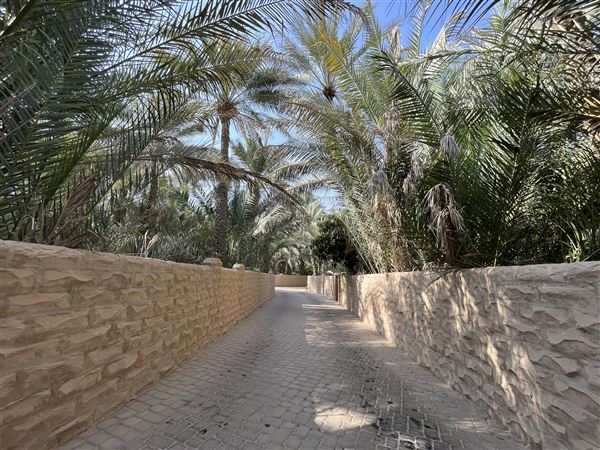 Al Qattara Oasis (9/22/2022)