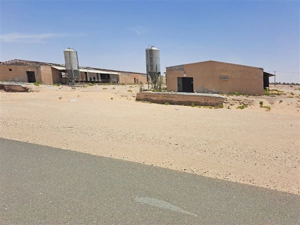Abandoned Poultry Farm (4/1/2023 - Credits: Talal Al Dhabyani)