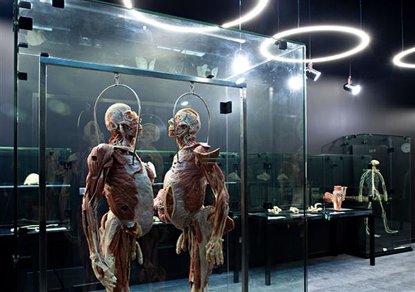 Body Museum - Khalifa University (4/20/2023)