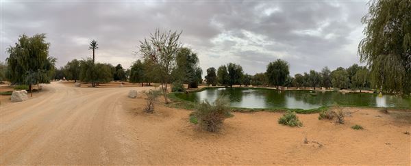 Telal Resort Al Ain (1/28/2020)