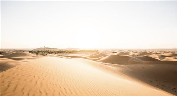 Telal Resort Al Ain (6/20/2023)