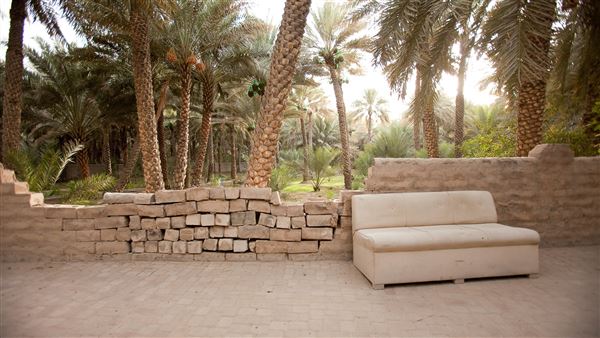Al Ain Oasis (1/1/2022)