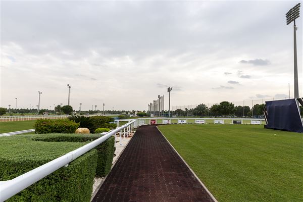 Abu Dhabi Equestrian Club (12/19/2019)