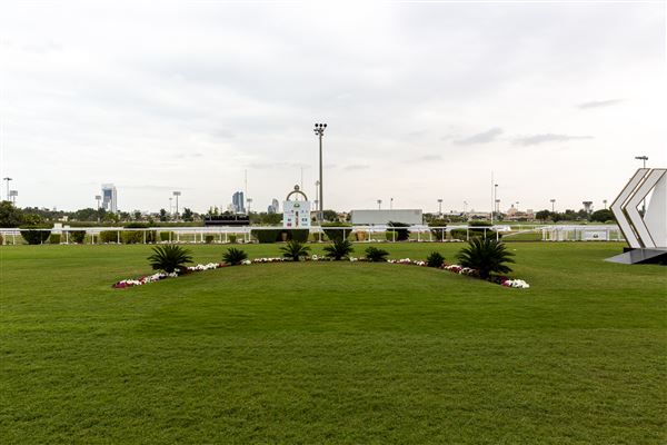 Abu Dhabi Equestrian Club (12/19/2019)
