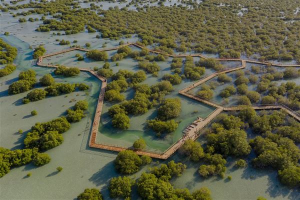 Jubail Mangrove Park (6/16/2021)