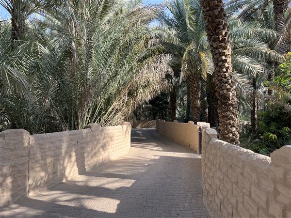 Al Qattara Oasis (9/22/2022)