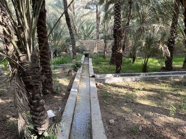 Al Qattara Oasis (9/22/2022)