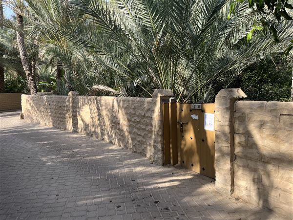 Al Qattara Oasis (9/22/2022)