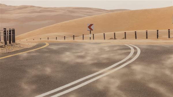 Tal Moreeb Road - Liwa (3/14/2016)