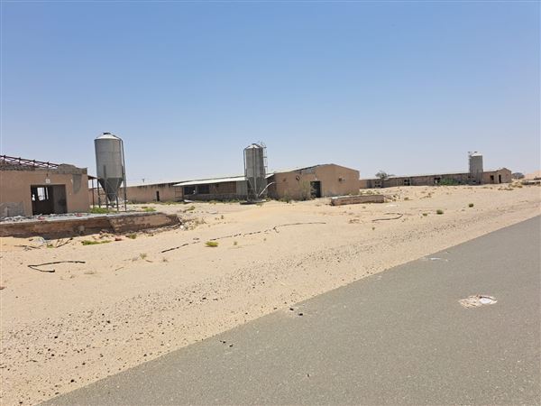 Abandoned Poultry Farm (4/1/2023 - Credits: Talal Al Dhabyani)