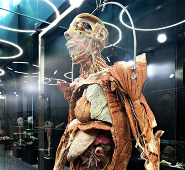 Body Museum - Khalifa University (4/20/2023)