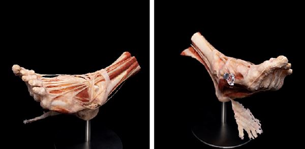 Body Museum - Khalifa University (4/20/2023)