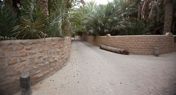 Al Ain Oasis (1/1/2022)