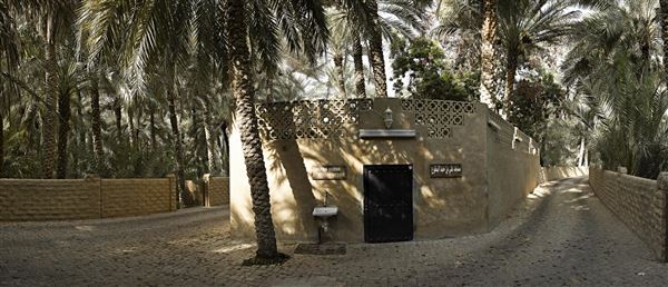 Al Ain Oasis (1/1/2022)