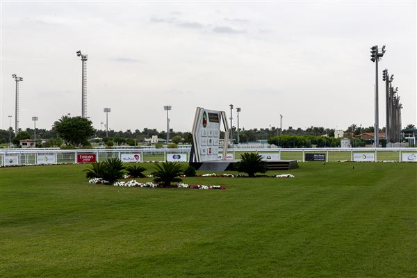 Abu Dhabi Equestrian Club (12/19/2019)