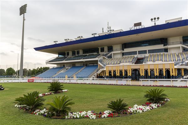 Abu Dhabi Equestrian Club (12/19/2019)