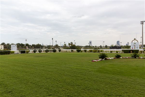 Abu Dhabi Equestrian Club (12/19/2019)