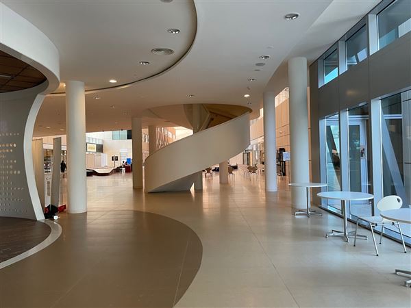 Zayed University (1/1/2021)