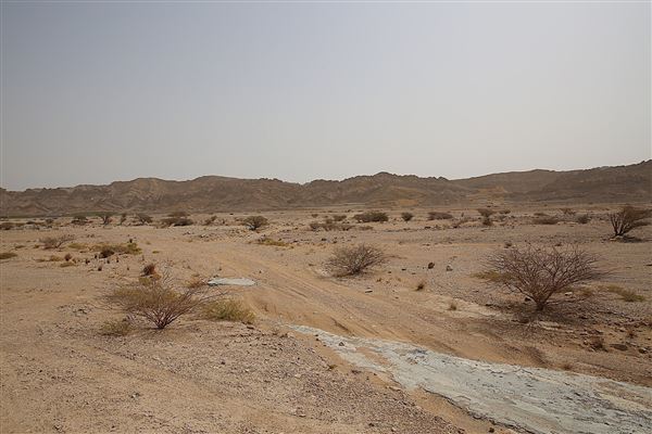 Jebel Hafeet - Wadi Tarbat (6/12/2018)