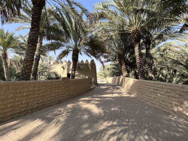 Al Qattara Oasis (9/22/2022)