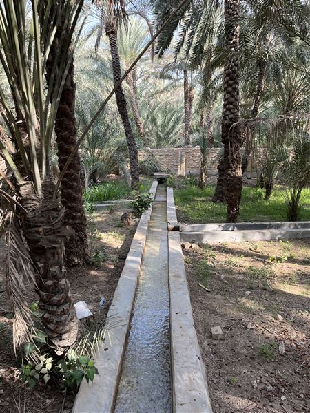 Al Qattara Oasis (9/22/2022)