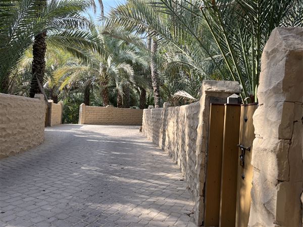 Al Qattara Oasis (9/22/2022)