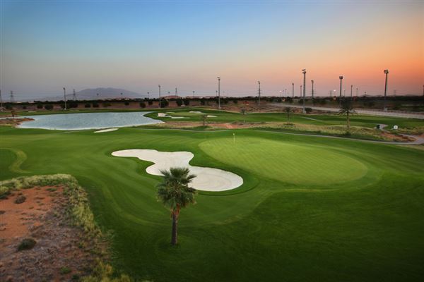 Al Ain Equestrian, Shooting & Golf Club (2/24/2023)