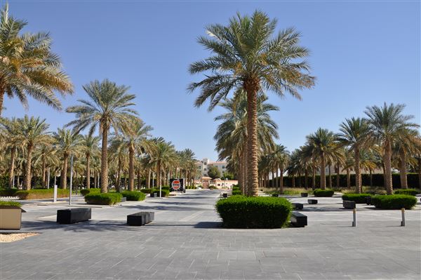 Al Muwaji Fort (1/27/2022)