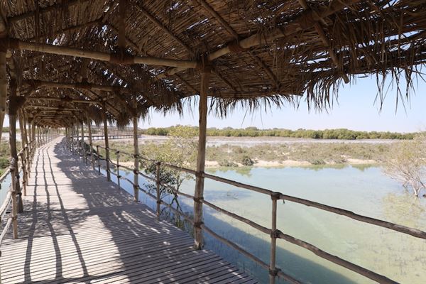 Samaliyah Island (3/8/2023)