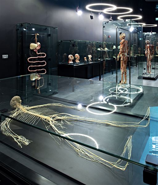Body Museum - Khalifa University (4/20/2023)