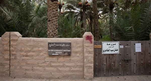 Al Ain Oasis (1/1/2022)