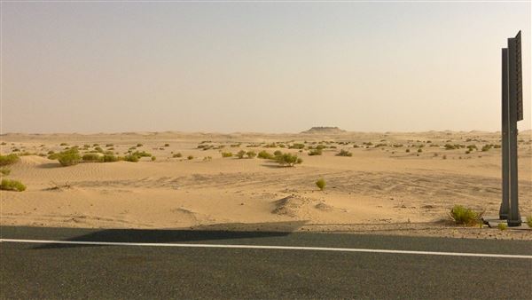 Al Faya Desert Road (1/1/2022)