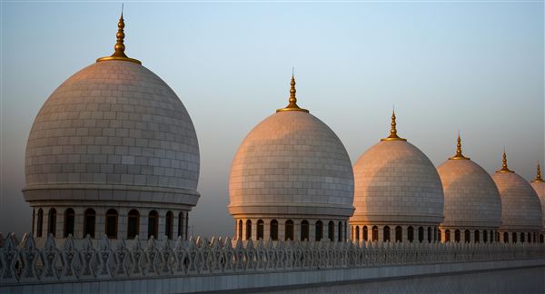 Sheikh Zayed Grand Mosque (1/1/2022)