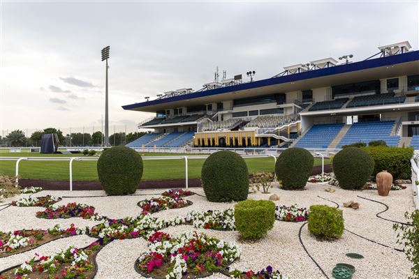 Abu Dhabi Equestrian Club (12/19/2019)