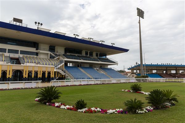 Abu Dhabi Equestrian Club (12/19/2019)