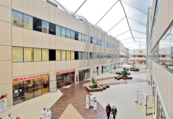 Zayed University (1/1/2021)