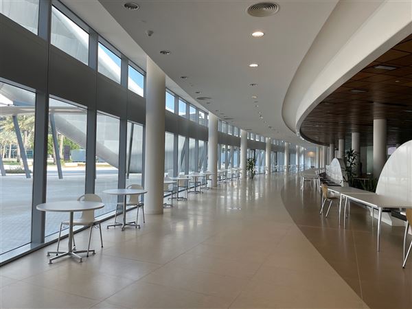 Zayed University (1/1/2021)