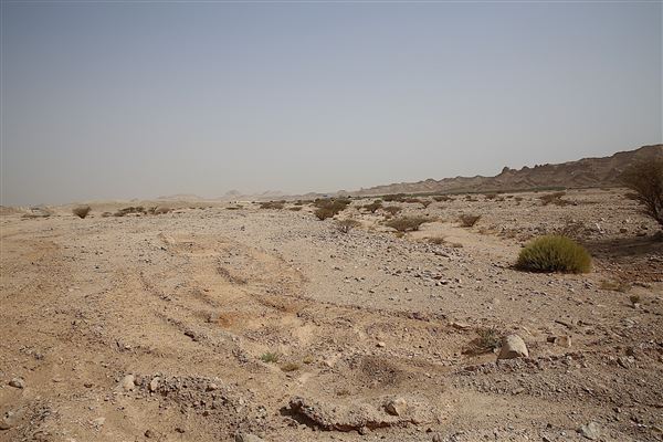 Jebel Hafeet - Wadi Tarbat (6/12/2018)
