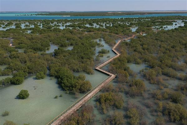 Jubail Mangrove Park (6/16/2021)