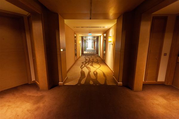 Eastern Mangroves Hotel and Spa (2/20/2023)