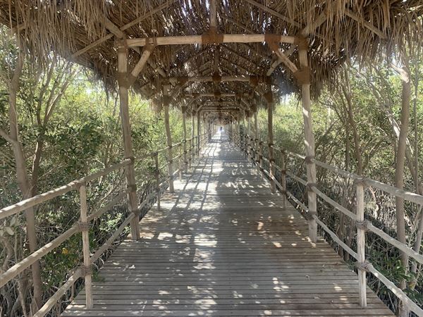 Samaliyah Island (3/8/2023)