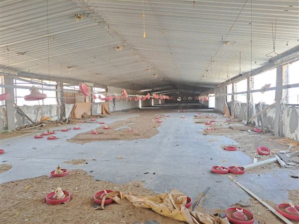 Abandoned Poultry Farm (4/1/2023 - Credits: Talal Al Dhabyani)