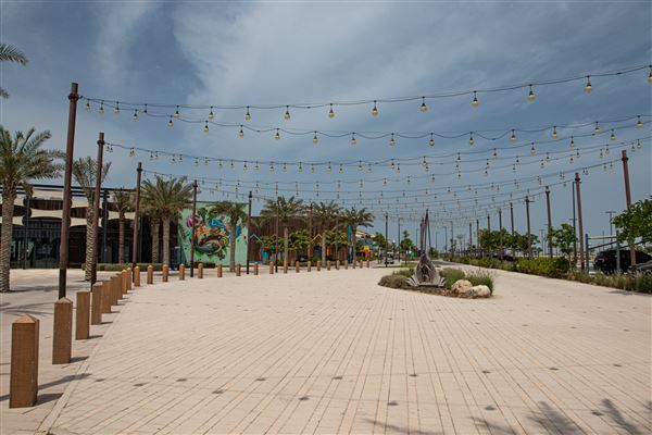 Al Hudayriat Island (2/1/2023 - Credits: Sami Bin Theyab)