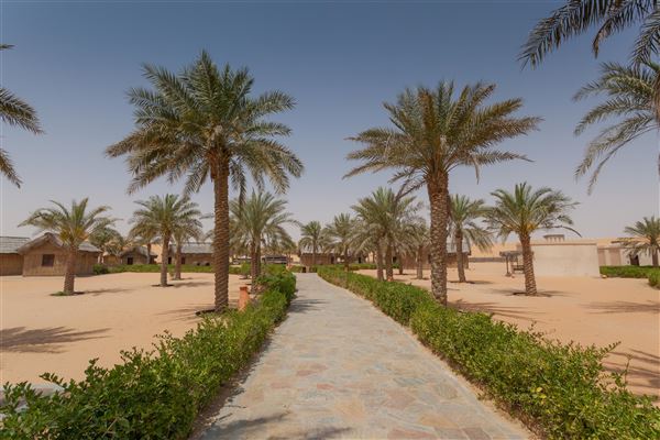 Arabian Nights Village (1/1/2020)